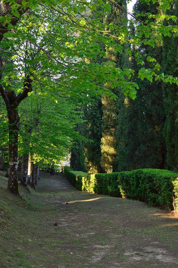 Parco Del Principe Path Around The Villa