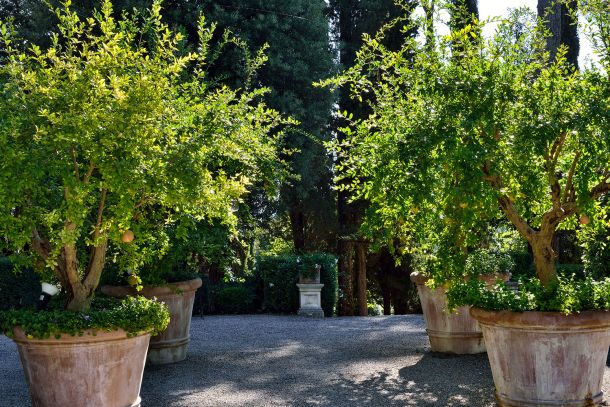 Parco Del Principe The Park